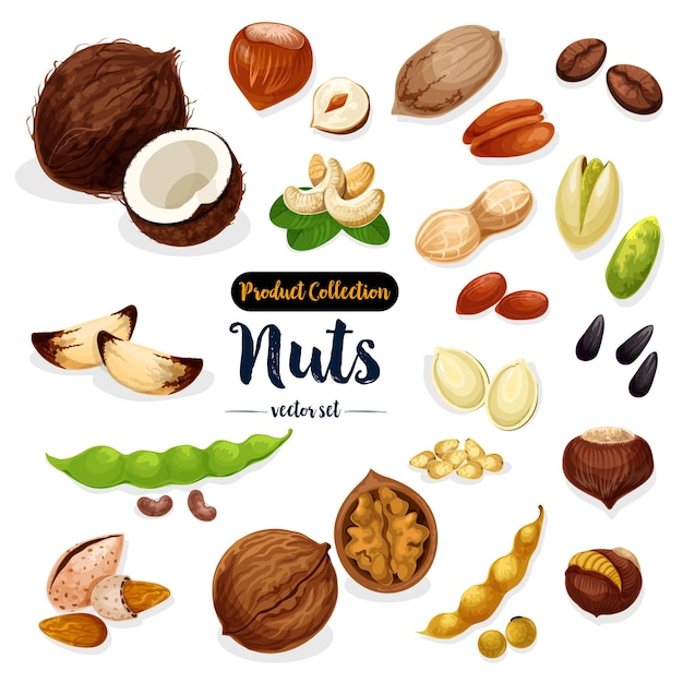 Conjunto de iconos de dibujos animados de semillas de nueces para el diseño de alimentos