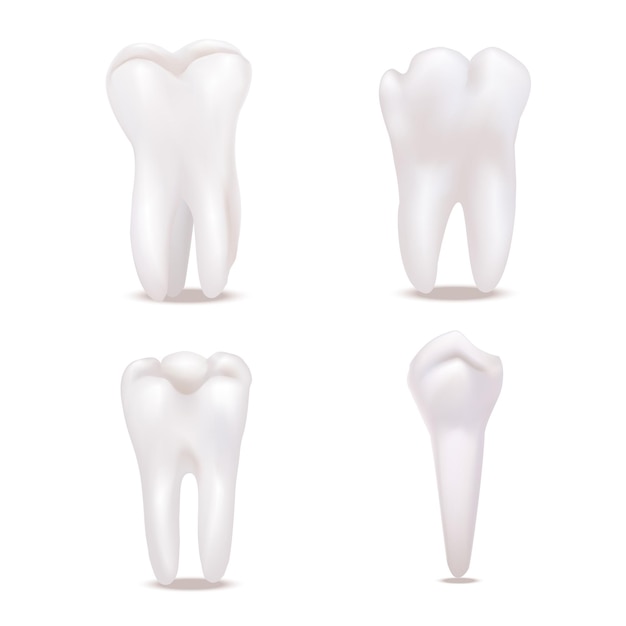 Conjunto de iconos de dientes sanos blancos 3d detallados realistas Vector