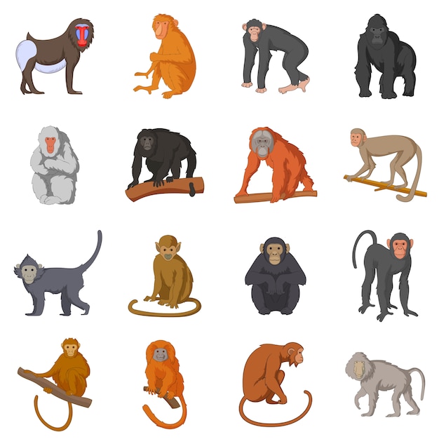 Conjunto de iconos de diferentes monos