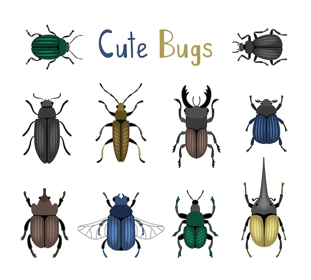 Conjunto de iconos de error lindo. naturaleza de dibujos animados de insectos macro, pequeños escarabajos coloridos lindos, ilustración vectorial de criaturas de la ciencia entomología aisladas sobre fondo blanco