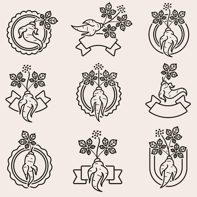 Conjunto de iconos y etiquetas de ginseng rojo Icono de colección Vector de ginseng rojo