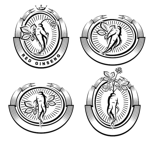 Conjunto de iconos y etiquetas de ginseng rojo Icono de colección Vector de ginseng rojo