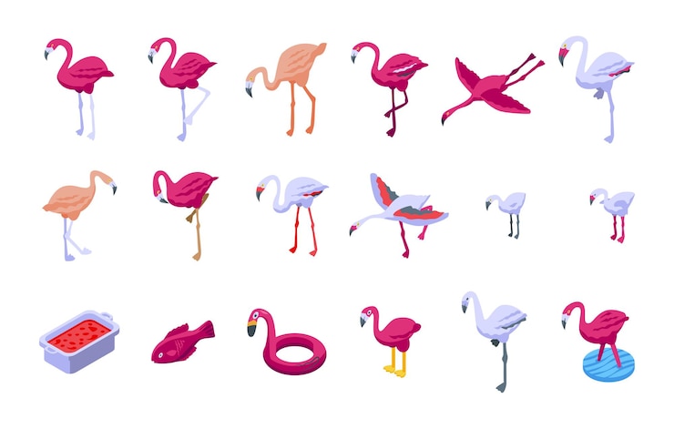 Vector conjunto de iconos de flamenco. conjunto isométrico de iconos de vector de flamenco para diseño web aislado sobre fondo blanco