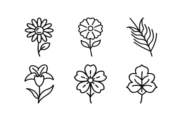 conjunto de iconos de flores