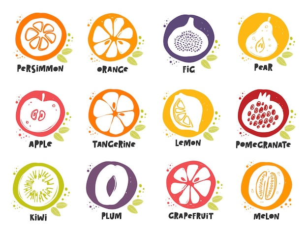 Conjunto de iconos de frutas manzana limón naranja caqui pera tinta ilustración vectorial dibujada a mano