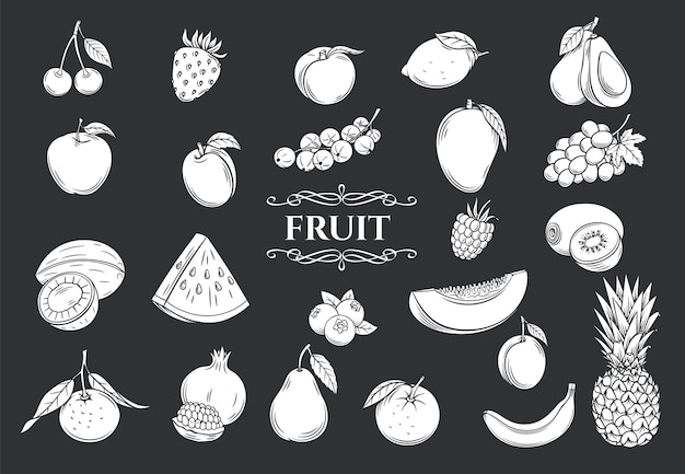 Conjunto de iconos de glifo de fruta. Colección de estilo retro decorativo frutas y bayas aisladas para tienda