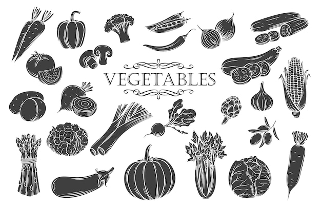 Conjunto de iconos de glifo de verduras. Menú de restaurante de productos veganos de granja de colección de estilo retro decorativo, etiqueta de mercado y tienda.