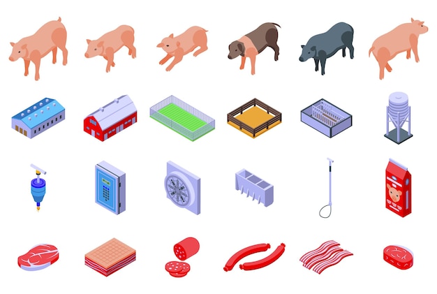 Conjunto de iconos de granja de cerdos vector isométrico animal de cerdo