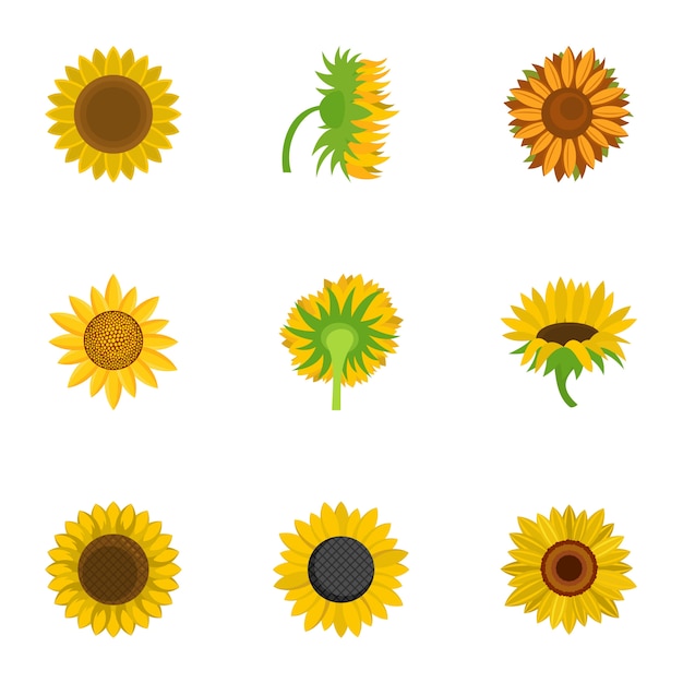 Conjunto de iconos de Helianthus, estilo de dibujos animados