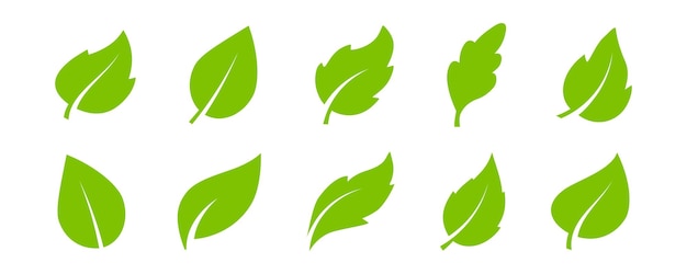 Conjunto de iconos de hojas en estilo plano. Colección con hojas verdes. Signo ecológico del medio ambiente y la naturaleza. Producto orgánico, ecológico, verde. Ecología. Iconos vectoriales de elementos de la naturaleza para diseño gráfico. Producto de belleza