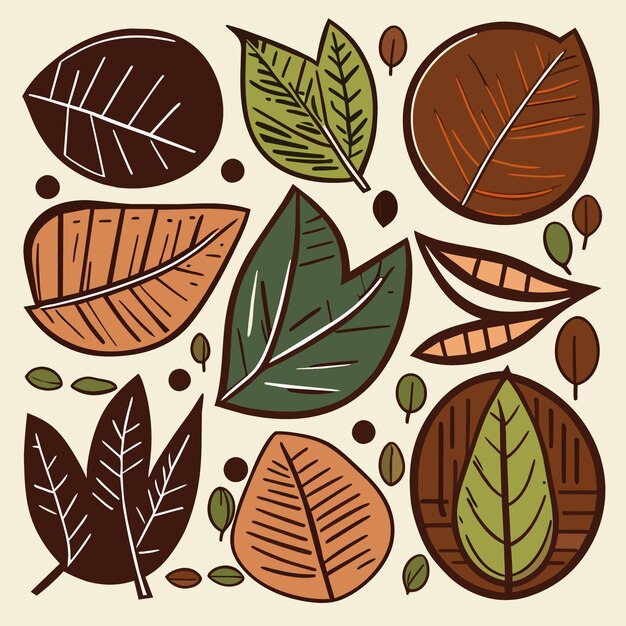 Vector conjunto de iconos de hojas de selva tropical colección de vectores dibujados a mano