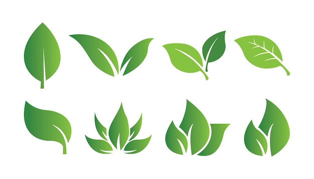 Conjunto de iconos de hojas verdes aisladas abstractas sobre fondo blanco