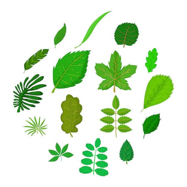 Conjunto de iconos de hojas verdes, estilo de dibujos animados