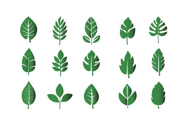 Conjunto de iconos de hojas verdes Icono de hojas en fondo aislado Colección de elementos de hoja verde diseño
