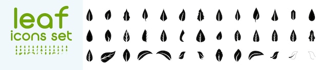 Conjunto de iconos de hojas verdes El logotipo del icono de hojas de color verde El elemento de la naturaleza de la hoja verde Colección de hojas verde