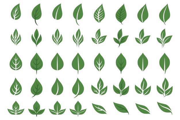 Conjunto de iconos de hojas verdes planas vectoriales Colección de hojas aisladas Diseño Elementos decorativos