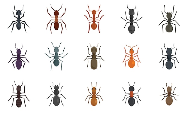 Conjunto de iconos de hormiga estilo plano