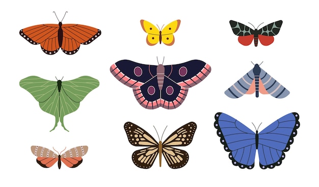 Conjunto de iconos de ilustración vectorial de fondo blanco de mariposa