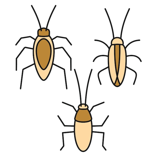 Conjunto de iconos de insectos cucarachas Conjunto general de iconos vectoriales de insectos de cucarachas Color de línea delgada plano sobre blanco