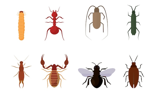 Conjunto de iconos de insectos de diferentes colores Ilustración vectorial