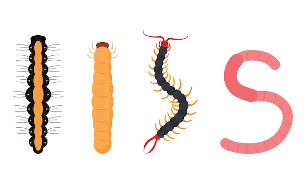 Conjunto de iconos de insectos gusano de diferentes colores Ilustración vectorial