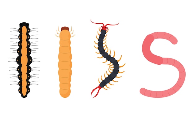 Conjunto de iconos de insectos gusano de diferentes colores Ilustración vectorial