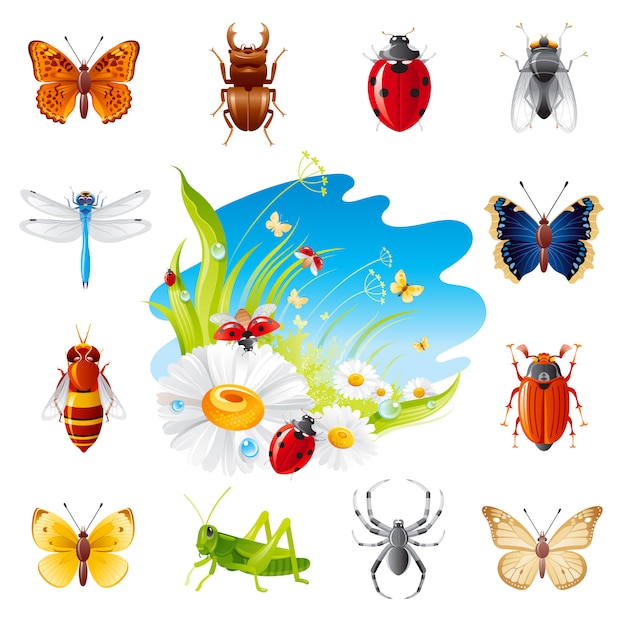 Vector conjunto de iconos de insectos de verano