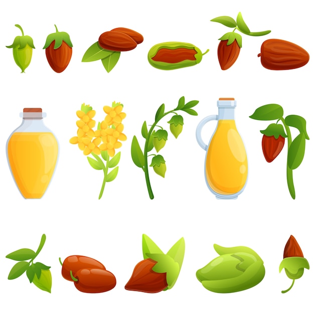 Vector conjunto de iconos de jojoba. conjunto de dibujos animados de iconos de jojoba para web