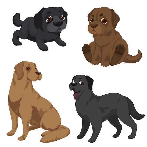 Conjunto de iconos de labrador. Conjunto de dibujos animados de iconos de labrador