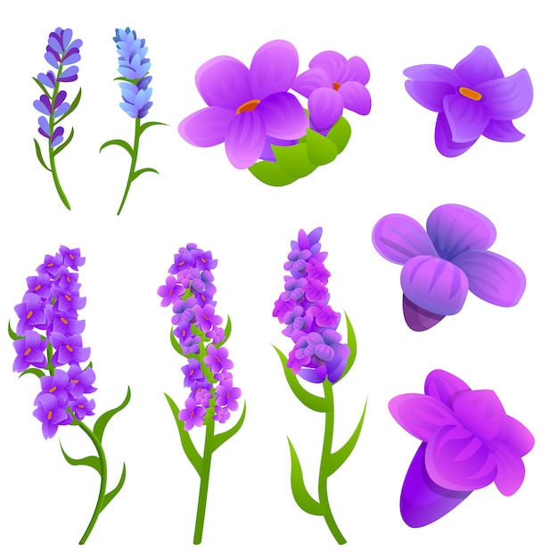 Vector conjunto de iconos de lavanda, estilo de dibujos animados