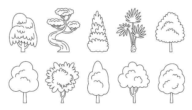 Vector conjunto de iconos de línea de árboles abeto arce palma secuoya arboretum libro para colorear plantas ecológicas vista lateral bosque de dibujos animados álamo temblón aliso fresno tilo acacia castaño dracaena sauce ciprés tuya pino roble álamo abedul