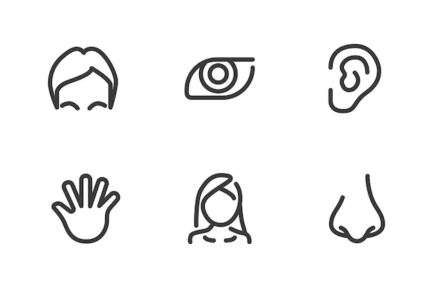 Conjunto de iconos de línea de cosmetología Vector