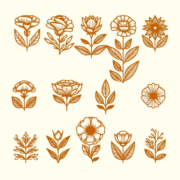 Conjunto de iconos de línea de flores Elementos de diseño floral Ilustración vectorial