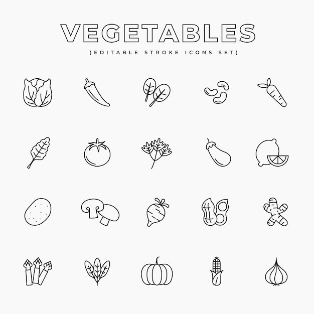 Conjunto de iconos de líneas de verduras Editable stoke línea delgada Diseño gráfico moderno Icones lineales simples