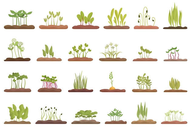 Conjunto de iconos de microvegetales en crecimiento vector de dibujos animados Planta de guisante