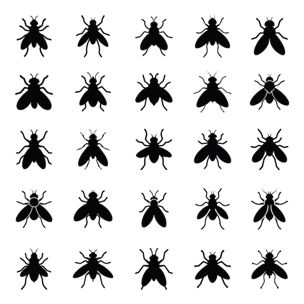 Conjunto de iconos de mosca
