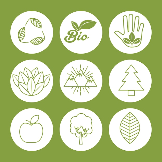 Vector conjunto de iconos naturales y ecología