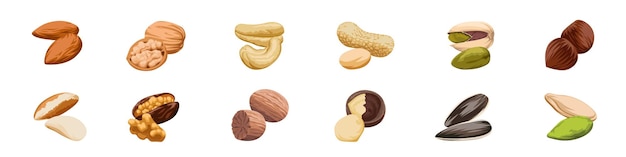 Vector conjunto de iconos de nueces conjunto de símbolos de nueces estilo de dibujos animados