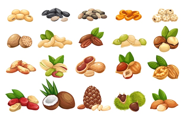 Vector conjunto de iconos de nueces, semillas y granos