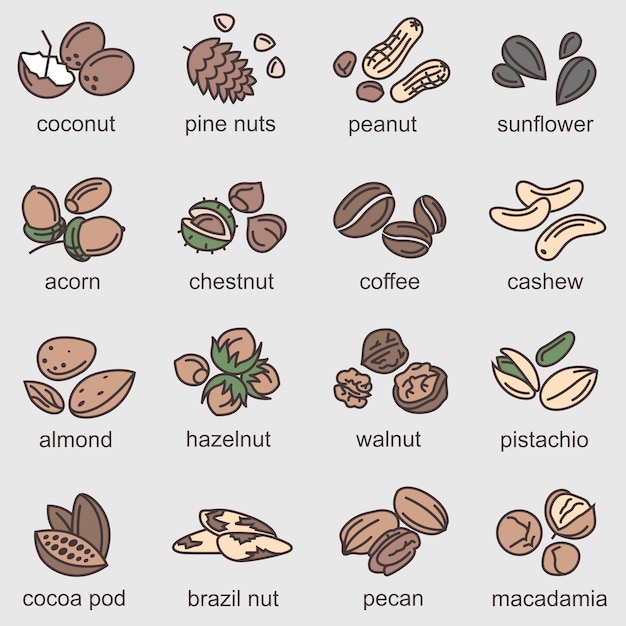 Vector conjunto de iconos de nueces