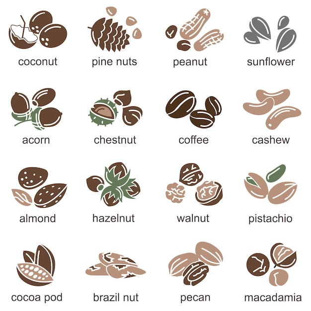 Vector conjunto de iconos de nueces