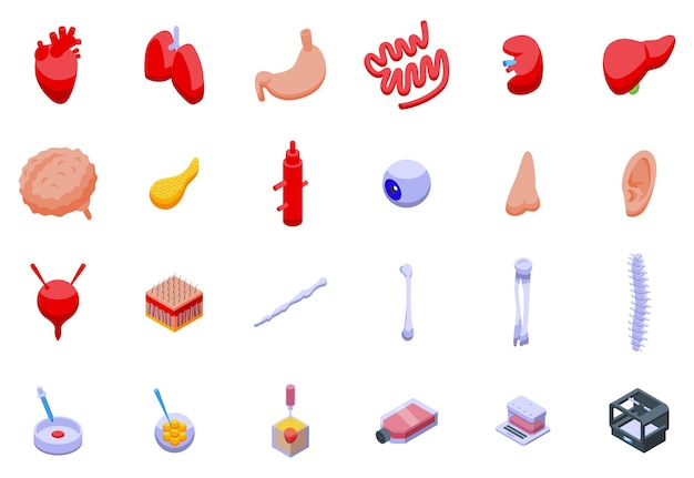 Conjunto de iconos de órganos en crecimiento vector isométrico Medicina humana