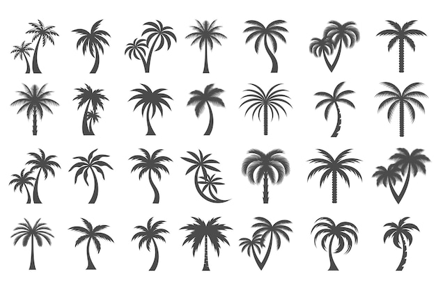 Conjunto de iconos de palma de coco Diseño de logotipo de estilo simple Ilustración vectorial de silueta de palma