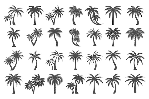 Conjunto de iconos de palma de coco Diseño de logotipo de estilo simple Ilustración vectorial de silueta de palma