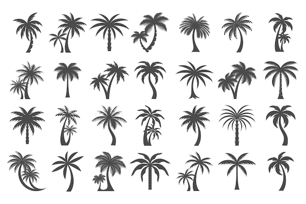 Conjunto de iconos de palma de coco Diseño de logotipo de estilo simple Ilustración vectorial de silueta de palma