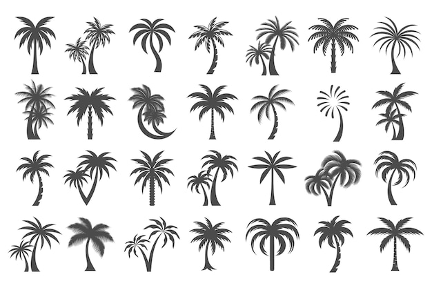 Conjunto de iconos de palma de coco Diseño de logotipo de estilo simple Ilustración vectorial de silueta de palma