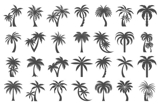 Conjunto de iconos de palma de coco Diseño de logotipo de estilo simple Ilustración vectorial de silueta de palma