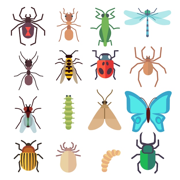 Conjunto de iconos planos de insectos