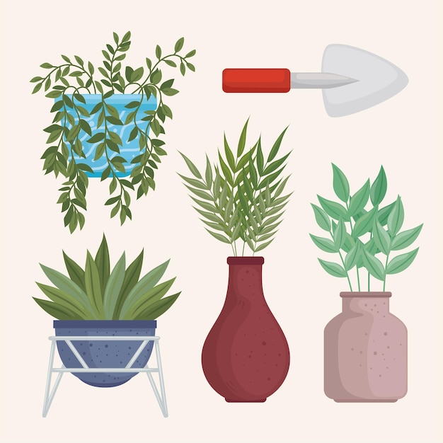 Vector conjunto de iconos de plantas de interior