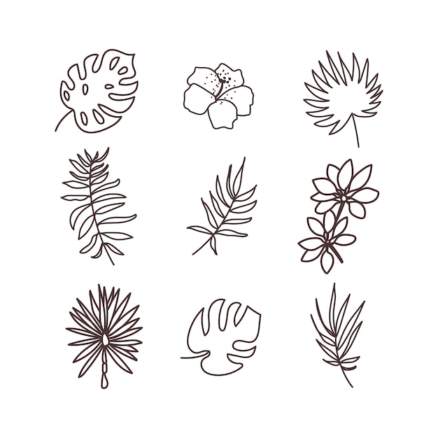 Vector conjunto de iconos de plantas tropicales. dibujar a mano